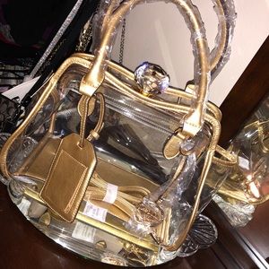 Gold transparent Diamond Handbag